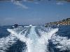 Κουφονήσια 2011