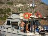 Κολοκύθα 2011